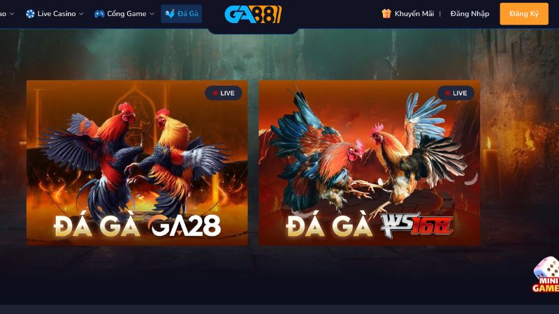Tham gia đá gà FB88 với các trận đấu trực tiếp