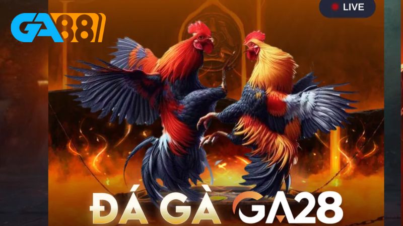 Cách đặt cược đá gà FB88 rất đơn giản