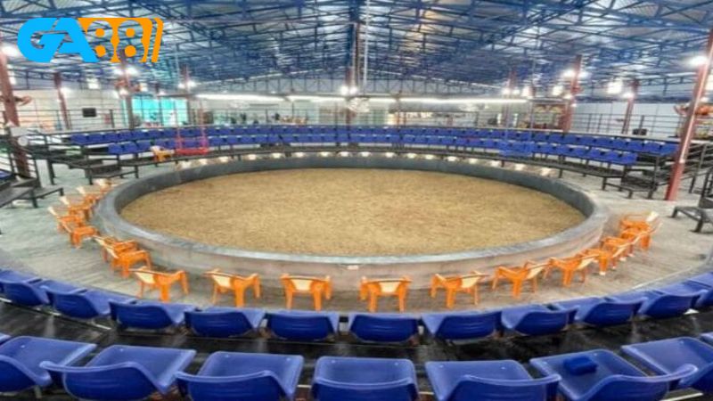 Trường gà Savan là một trong những đấu trường đá gà lớn và uy tín nhất tại Lào