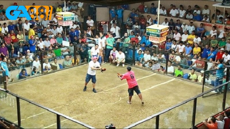 Tại trường gà Savan, người chơi có thể tham gia nhiều loại kèo cược